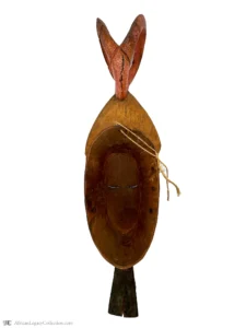 E2-M2 - Image 2