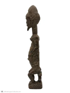 P2-S3 - Image 3