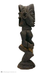P2-S4 - Image 2
