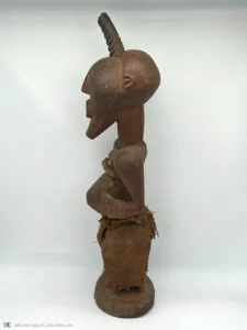Z-S1 - Image 3