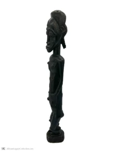 Z-S2 - Image 3