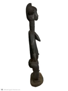 BC-S1 - Image 2