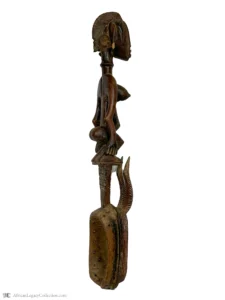 Q3-M1 - Image 3