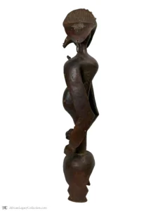 T2-S1 - Image 4