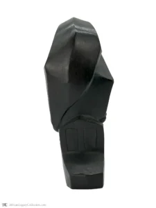 V2-S5 - Image 2