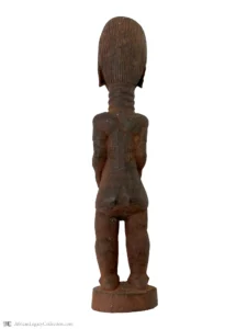 Y2-S1 - Image 2